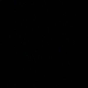 Meet your Posher, Troy